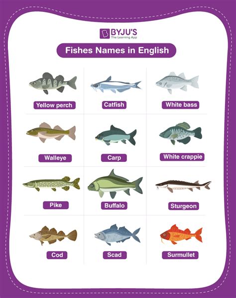 Explore 80+ Fish That Start with T (Common Names).